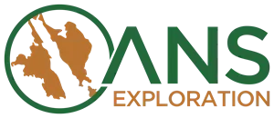 ANS Exploration